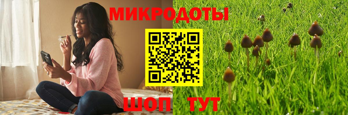 Джанкой  Псилоцибиновые грибы GOLDEN TEACHER  Вход с VPN 