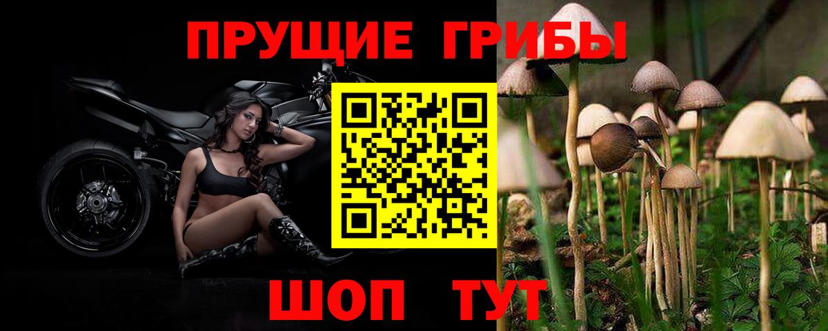 Псилоцибиновые грибы ЛСД Джанкой